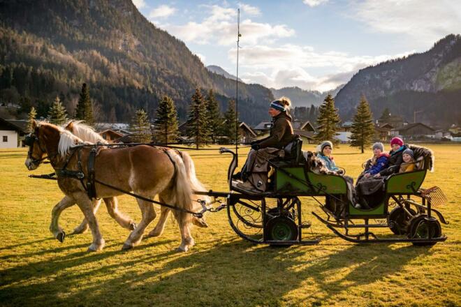 Pferdekutschenfahrt