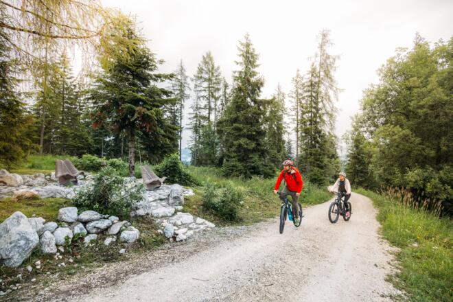 Logenplatz Unkenberger Mähder