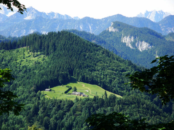 Hoisenrad Alm
