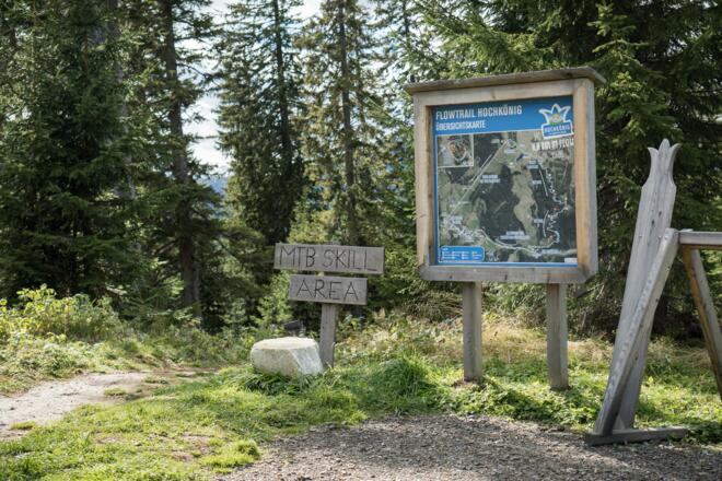 Skill Area/Pumptrack Start