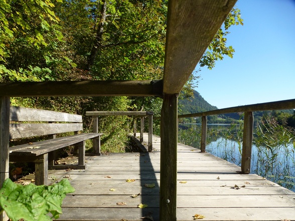 Bank zum Durchatmen am Thumsee-Rundweg Bad Reichenhall