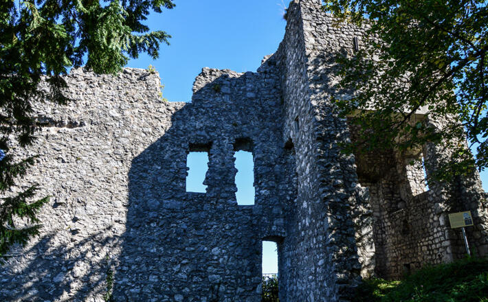 Die Burgruine Karlstein