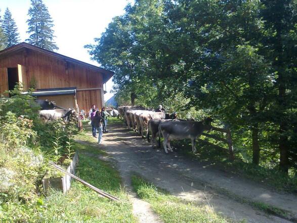 Der  Natur auf der Spur