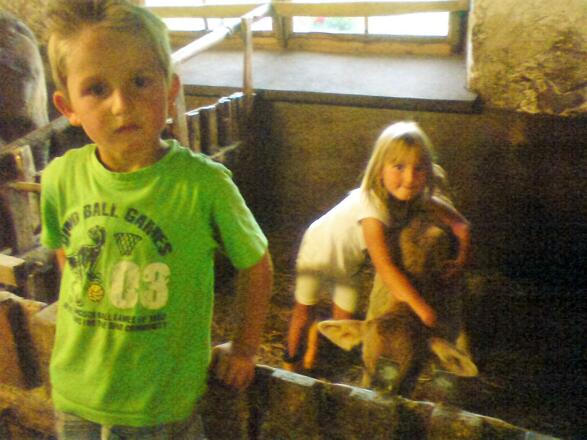 Kinder willkommen im Kuhstall