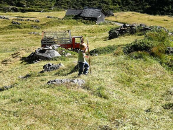 Heuernte am Bio Berghof
