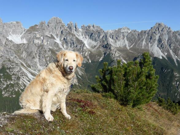 Ihr 4beiner ist auch willkommen !