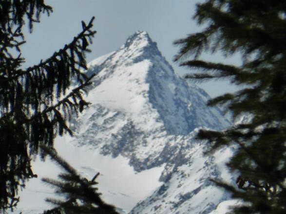 &quot;Wilder Freiger&quot;