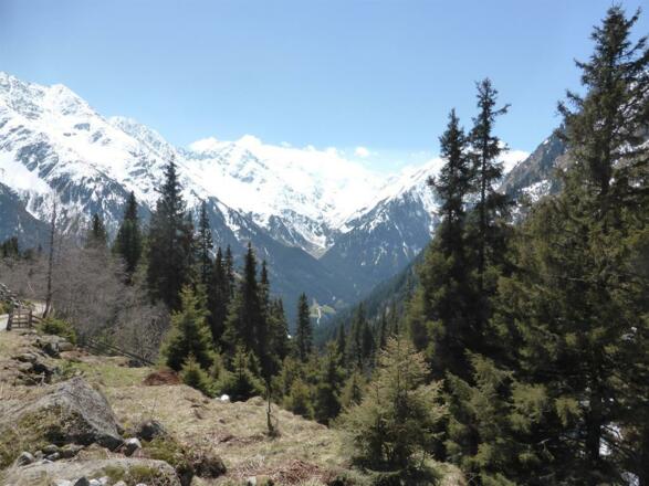 Ausblick auf den Stubaier Gletscher