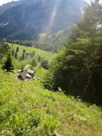 Abstieg zur Steiner Alm und Blick auf den Hochstaufen