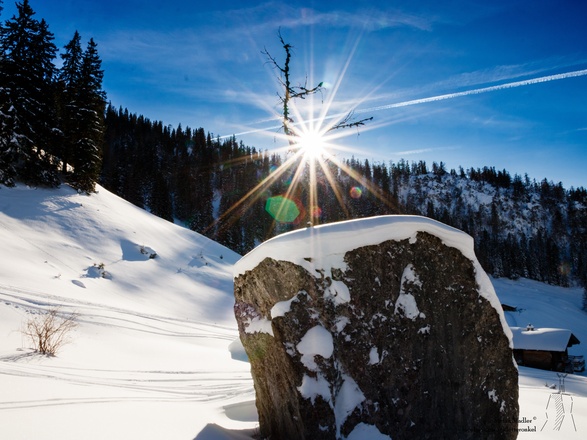Winterlandschaft während der Abfahrt