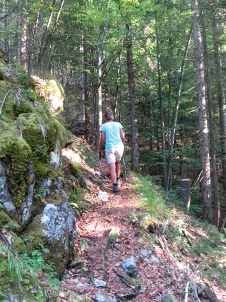 Bewaldete Südflanke