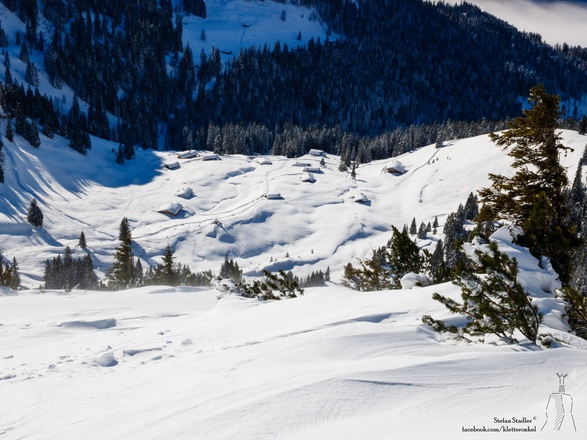 die Hochalm im Sonnenlicht