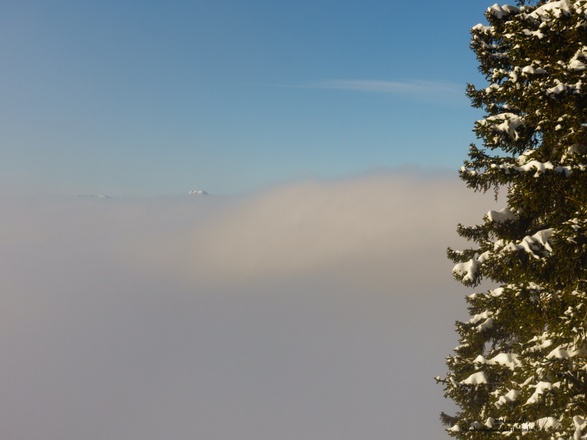 Erste Gipfel sind über dem Nebel zu erkennen
