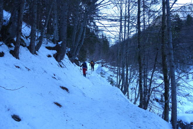 Waldweg, bei der Abfahrt herausfordernd