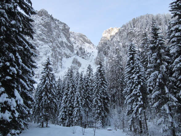 Erster Blick durch die Bäume in die Roßgasse