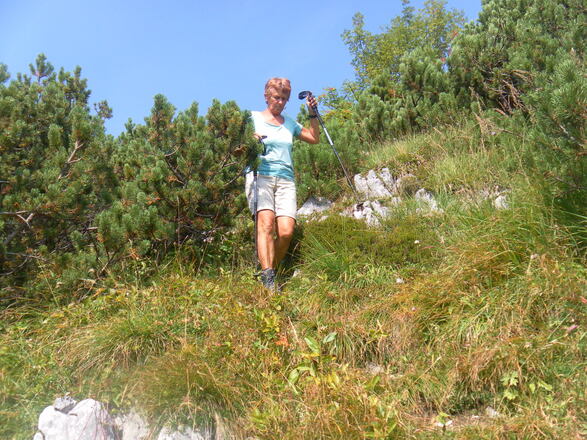 verwachsener Abstieg