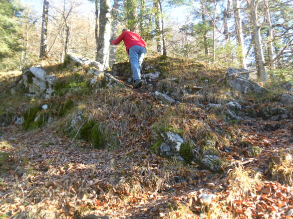kurze, einfache Schrofen