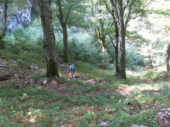 Einstieg in den Gurnwandsteig