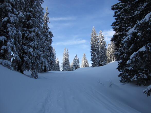 die Sonne in Griffweite