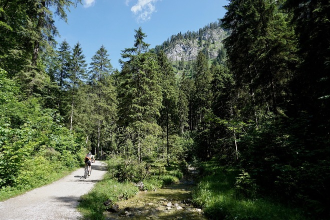 Auffahrt zur Röthelmoosalm entlang Großer Wappbach