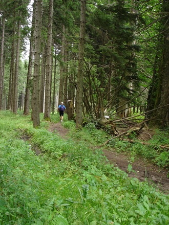 &quot;Flowiger Single Trail&quot; nach der Lechner Hütte
