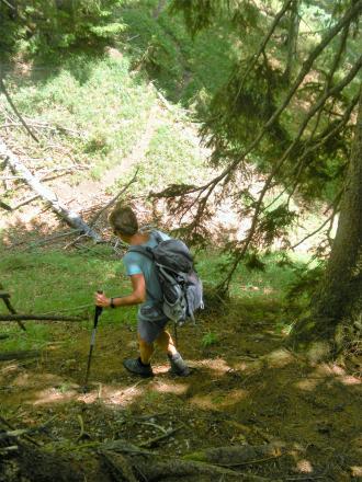 Abstieg in Gipfelsattel