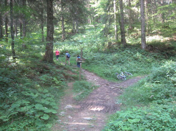 links hinauf geht&#039;s Richtung Steiner Alm