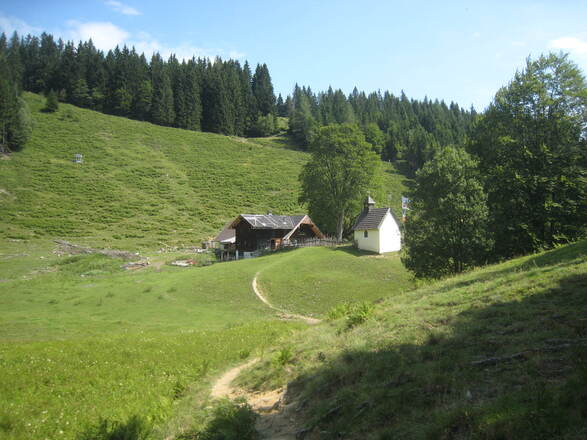 Blick zurück zur Steiner Alm, auf dem Weg zur Steiner alm kommt man von links oben aus dem Wald