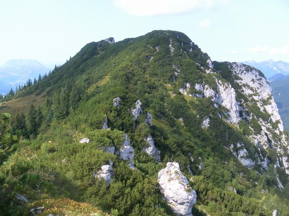 Gurnwandkopf aus dem Sattel