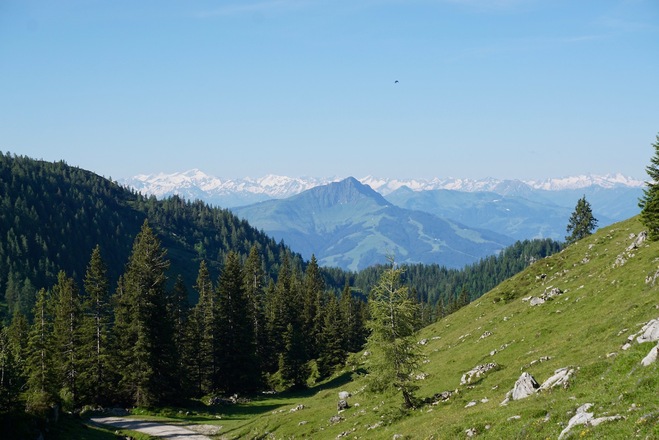 Aussicht von der Abfahrt vom Straubinger Haus mit Kitzbühler Horn, Großvenediger (li) und Zillertaler Alpen (re)