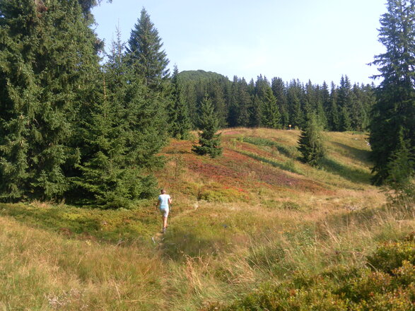 verfallene Hochkienbergalm mit Gurnwandkopf