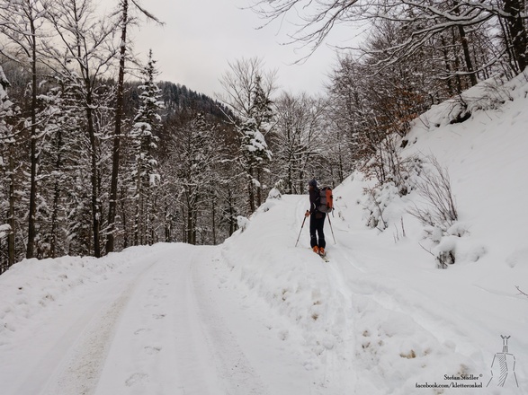 Verbindungsweg zwischen den 2 großen Forststraßen
