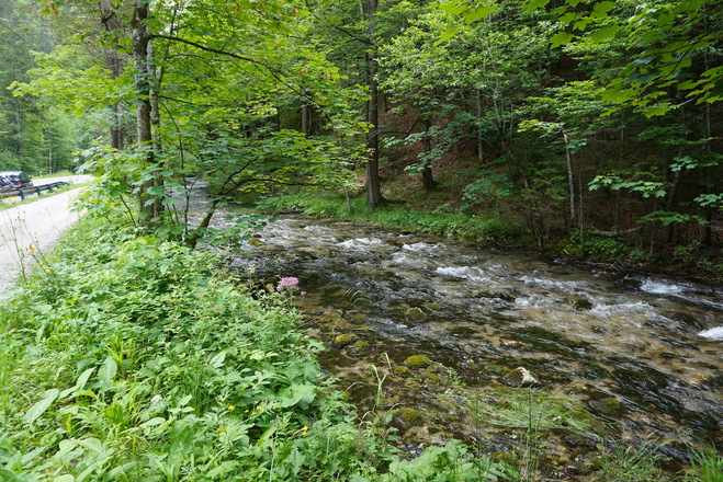 Radweg zum Lödensee entlang des Seetraun-Baches