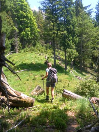 Westrücken des Stuhlkopfs