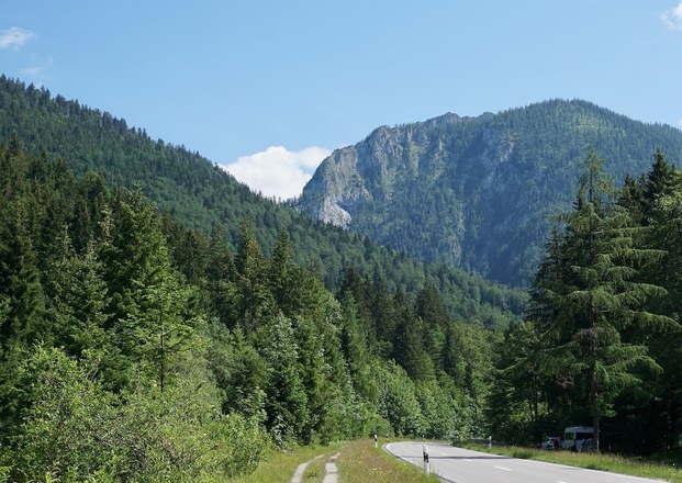 Weg zur Röthelmoosalm neben der B305
