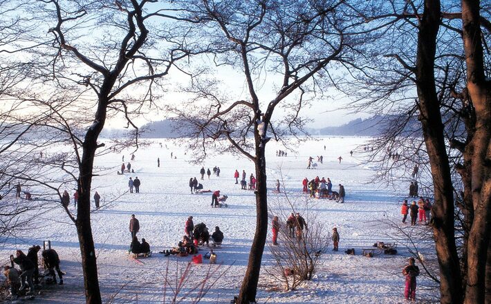 Winter am Abtsdorfer See