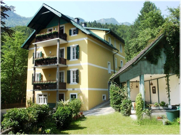 Latschen auf der Reiter Alm