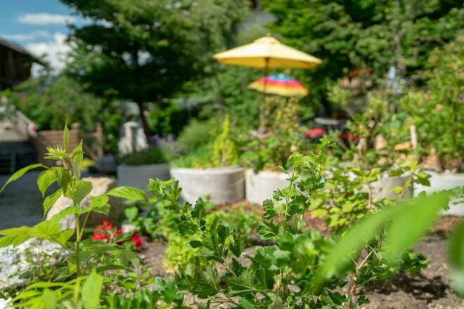 Gauahof - Naschgarten