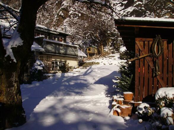 Winterstimmung im Garten