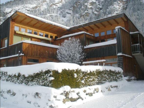 Alpenapart Grüner im Winter