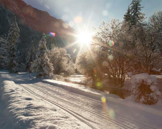 Bluntauloipe_Langlaufen_Golling_bernhard.r.moser.p