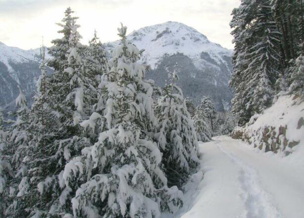 Winterwandern in Farst