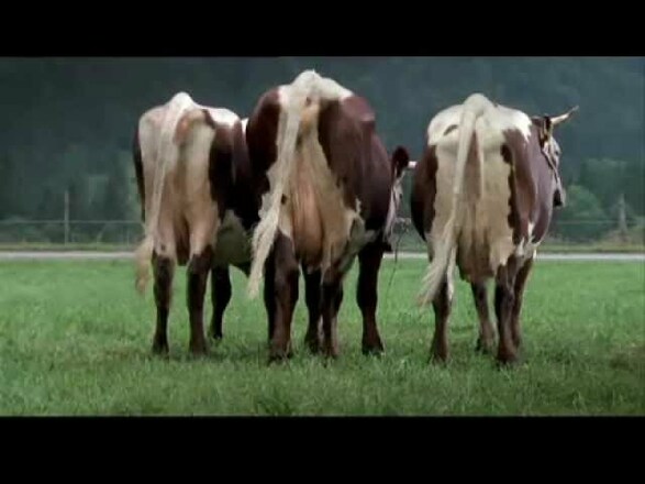 Berchtesgadener Land Imagefilm