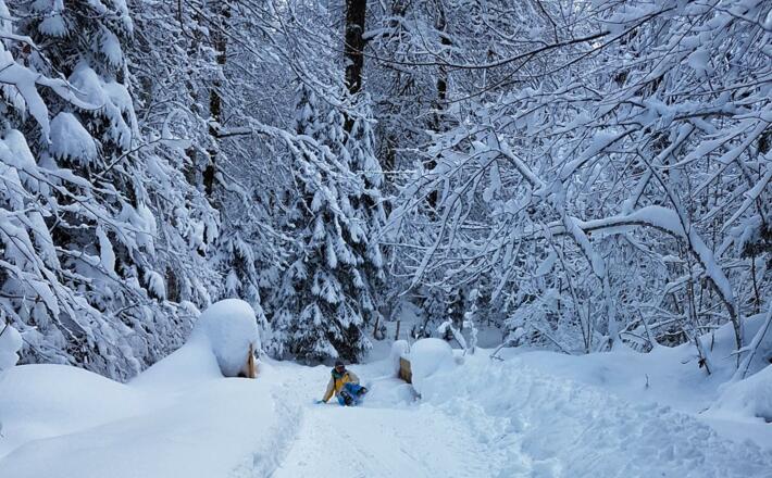 Abfahrt Rodelbahn Vorderbrand