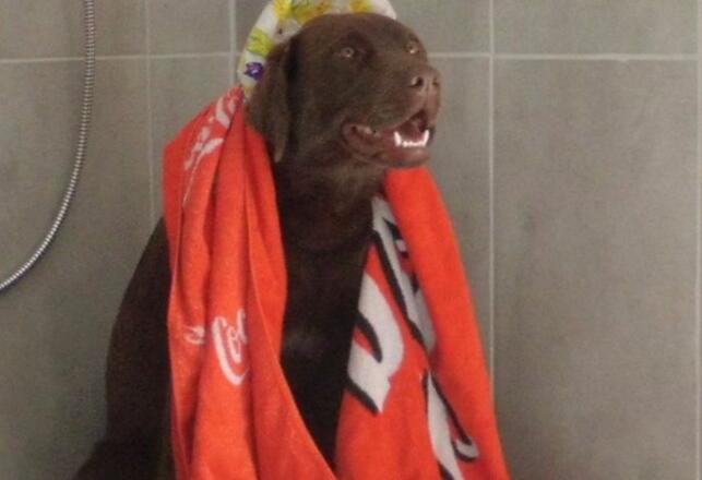 Alpina Gästehaus Pension