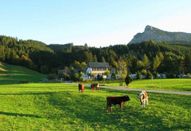Alpenwelt Ferienwohnungen + Appartments
