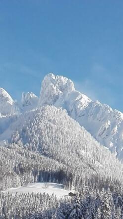 Bischofsmütze im Winterkleid