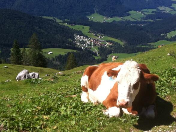 Zahlreiche Wanderwege vom Haus aus