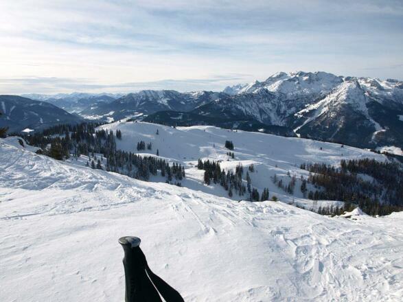 Die Aussichten sind wunderbar!