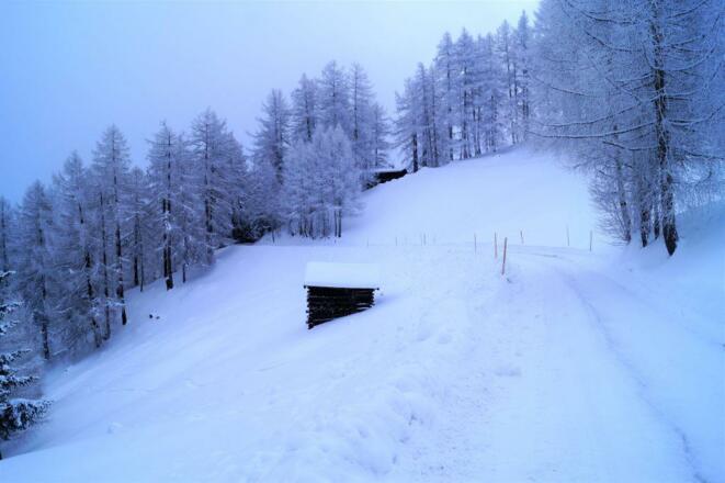 Winterlandschaft Gleins I